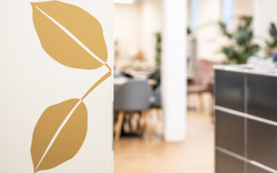 Ein Blick in das Herz der Akademie